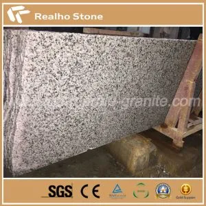 Nuevas losas de granito Oriental White G640 en venta